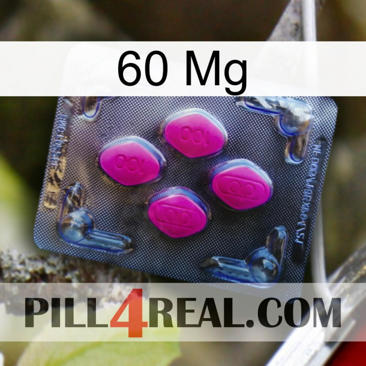 60 Mg 02